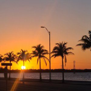 Meet your Posher, Ella